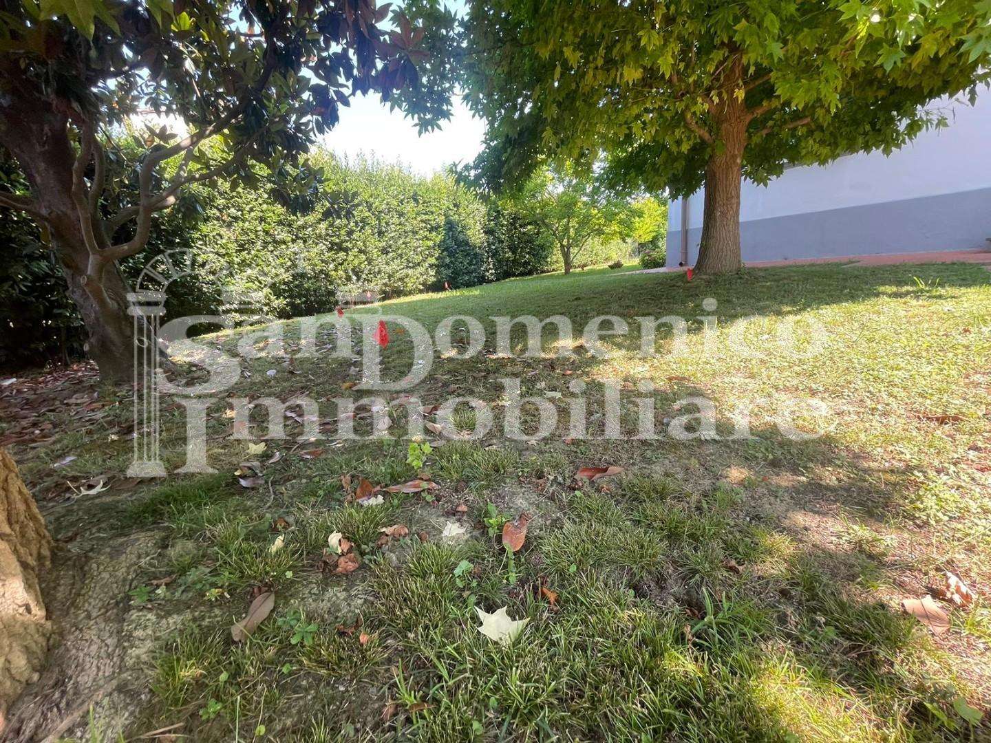  - foto 51