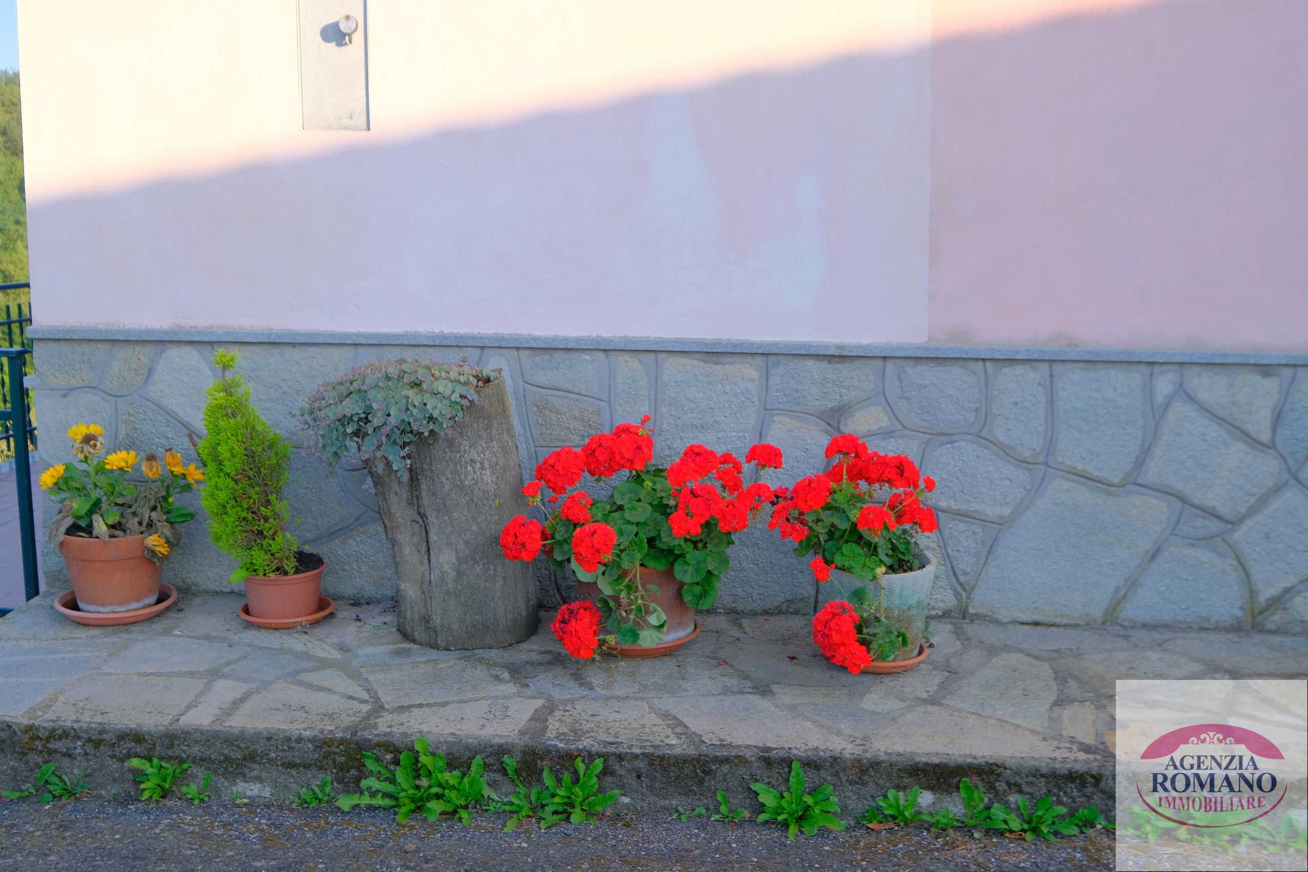  - foto 11