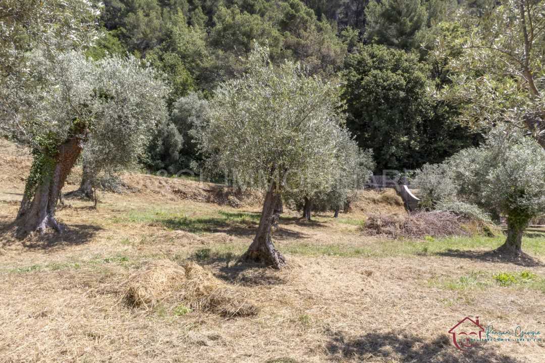  - foto 4