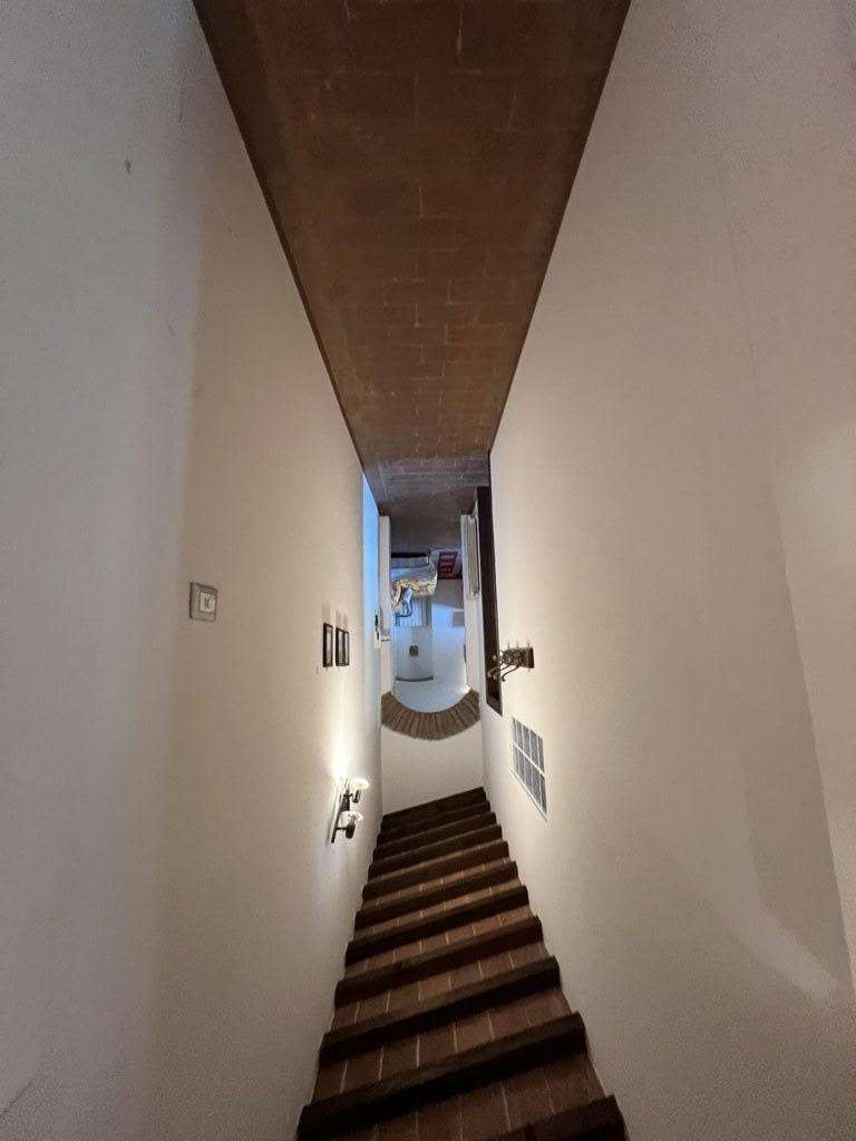  - foto 13
