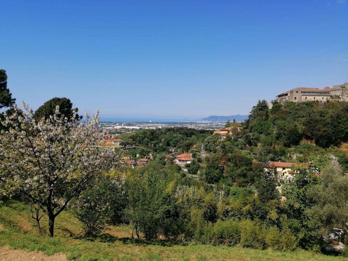 Appartamento Via Rocca,, Massa