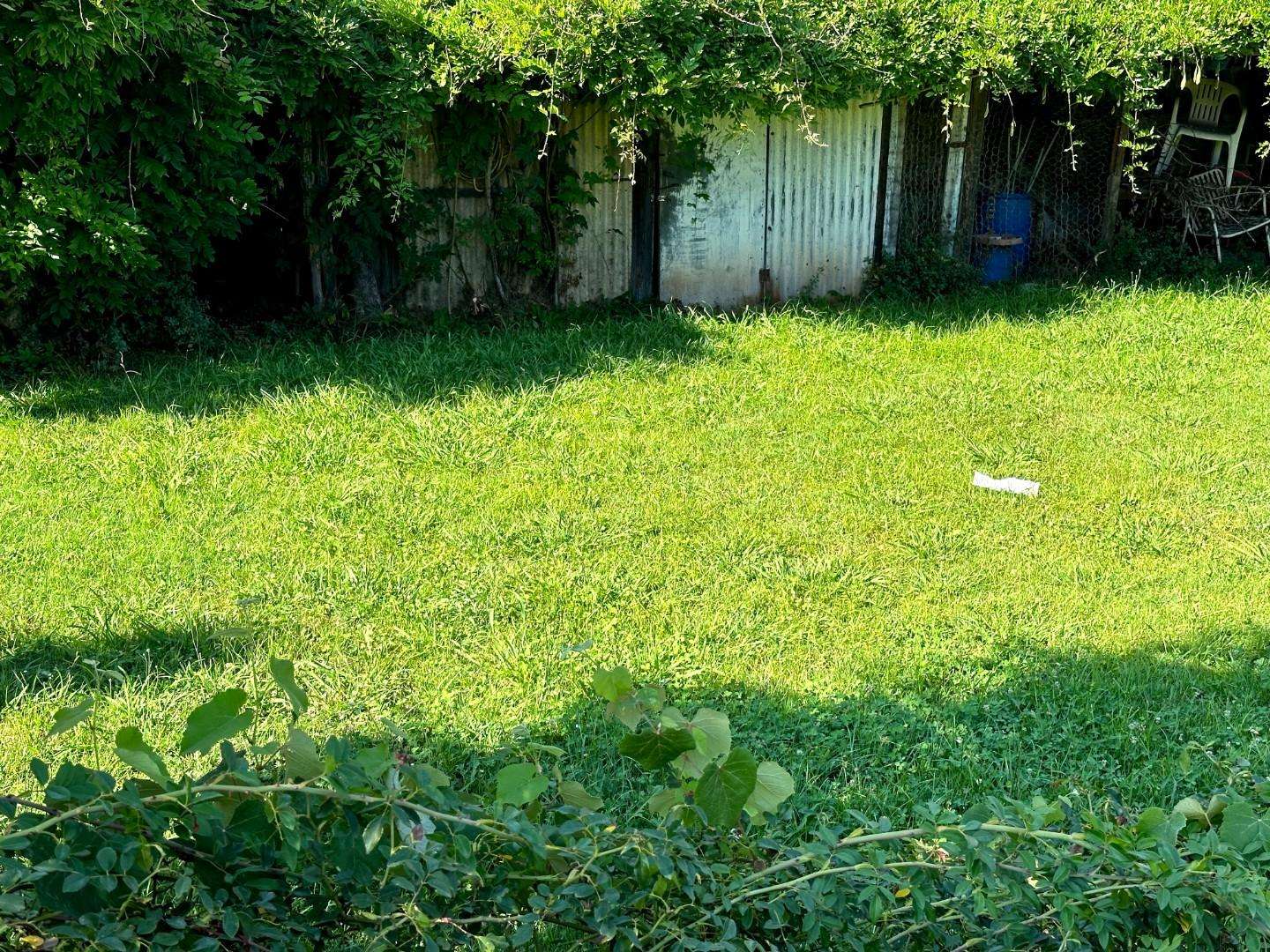  - foto 28
