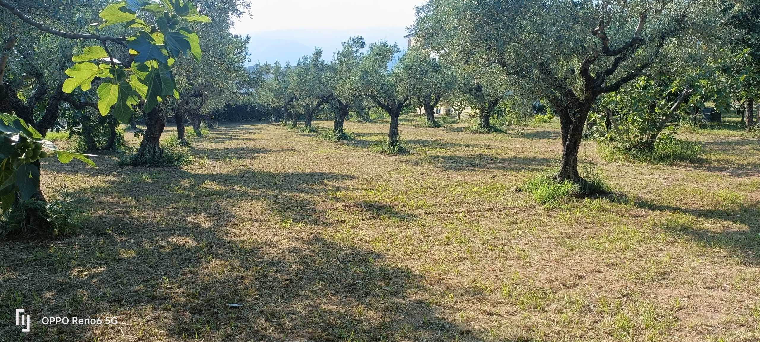 Terreno edificabile Via degli Enotri, Lamezia Terme