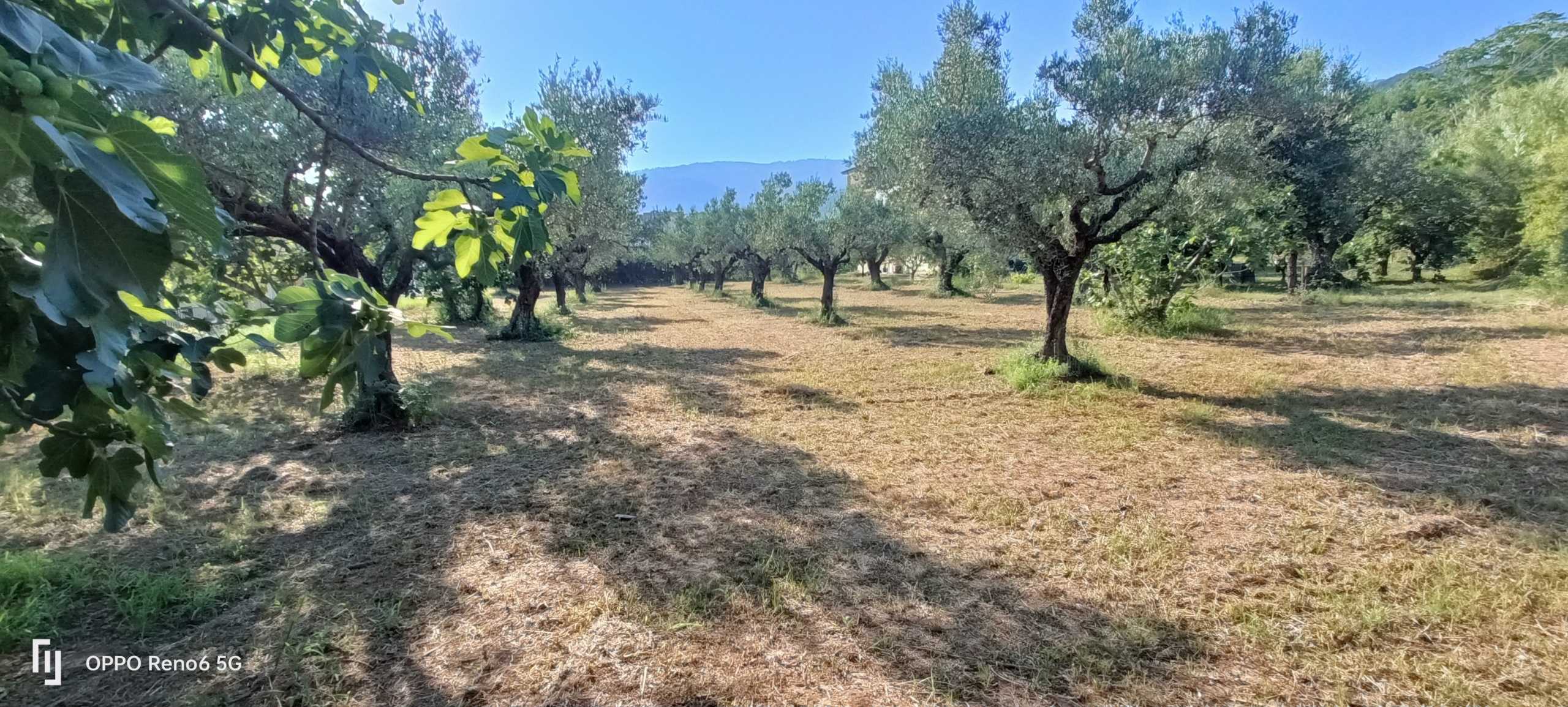  - foto 2