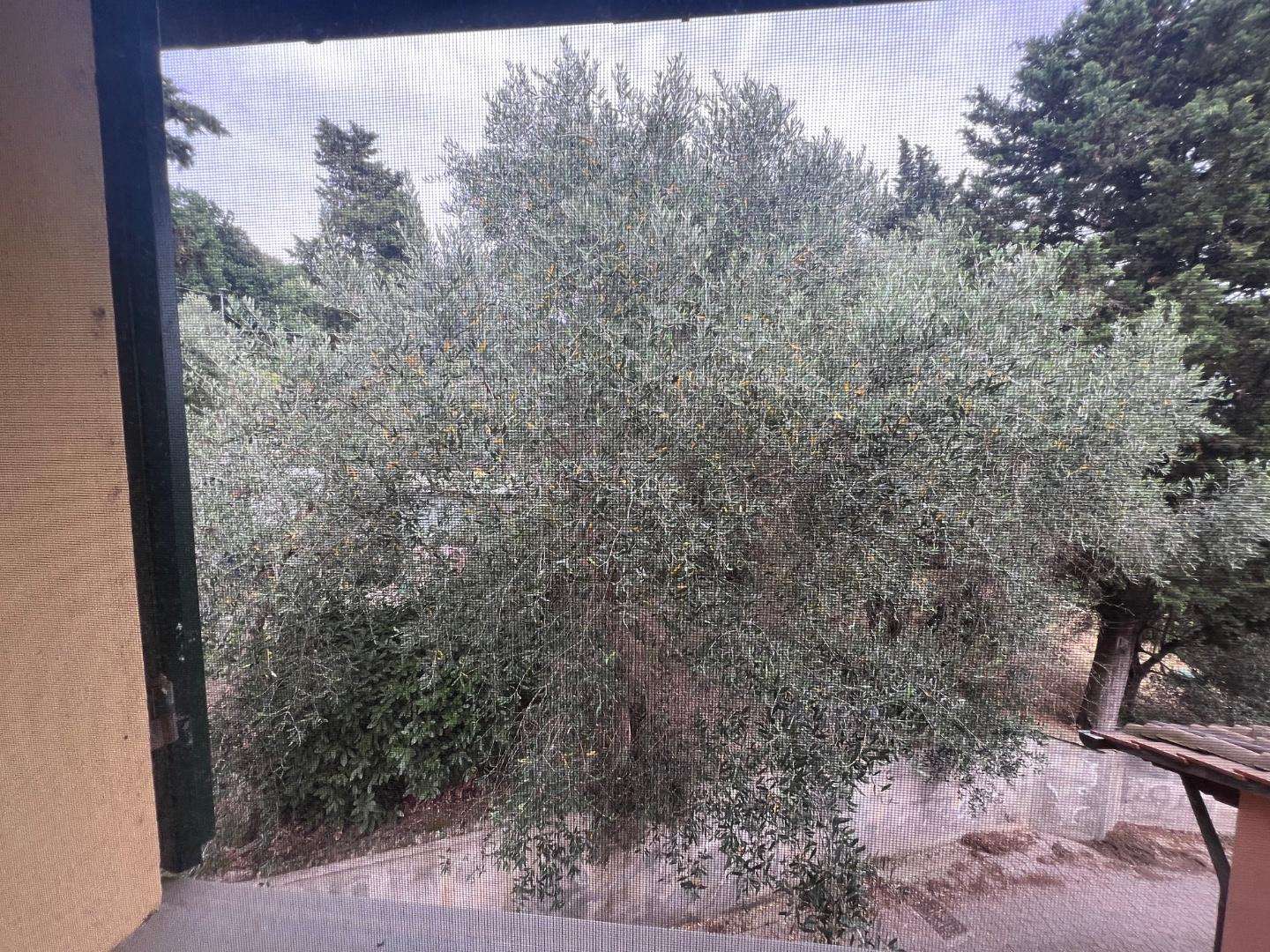  - foto 28