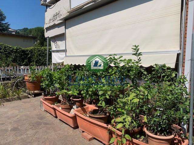 immagine annuncio 11 di 14