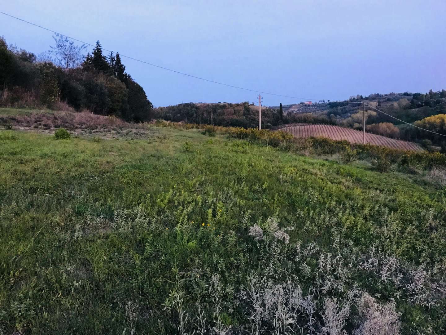  - foto 11