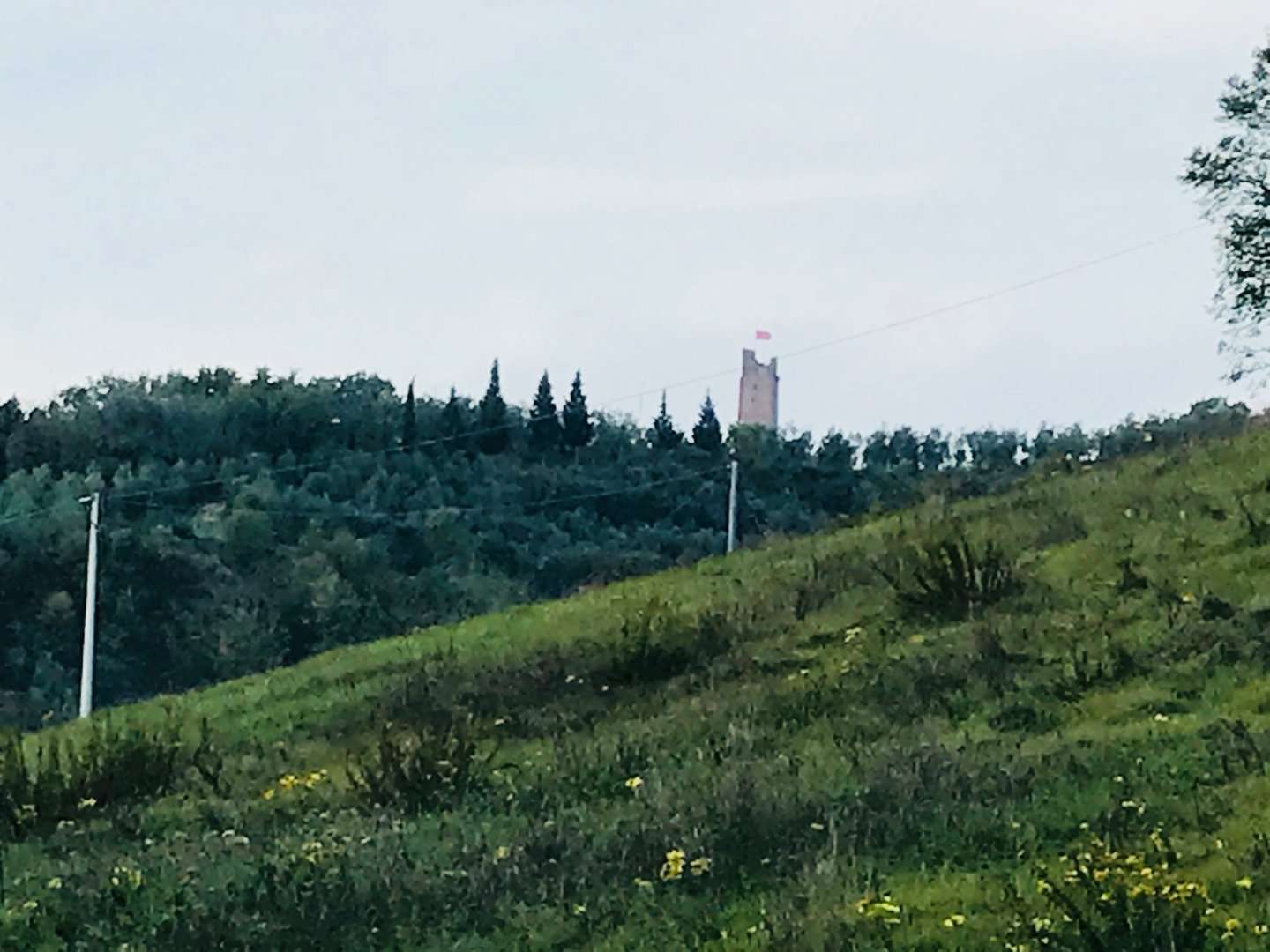  - foto 9