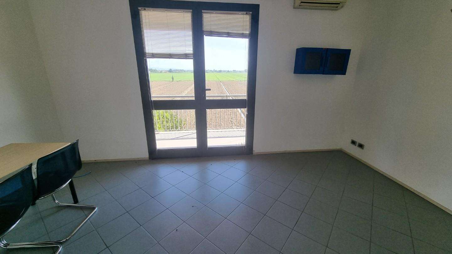  - foto 7