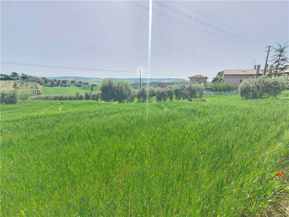  - foto 23