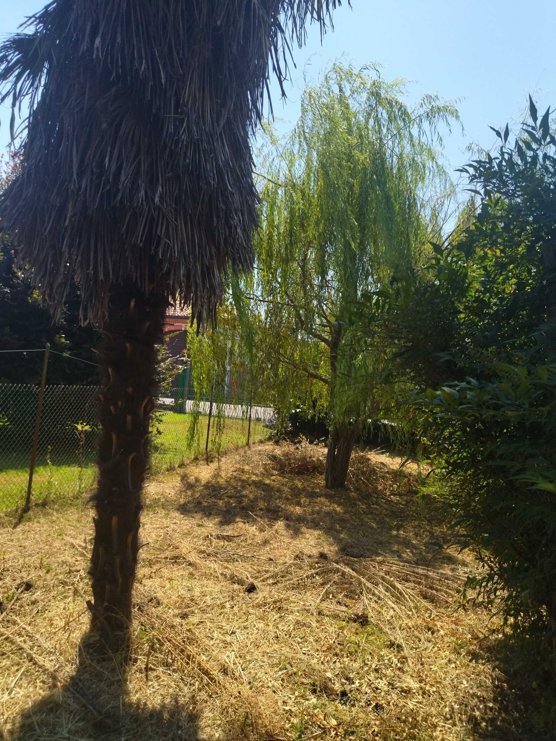 immagine annuncio 9 di 13