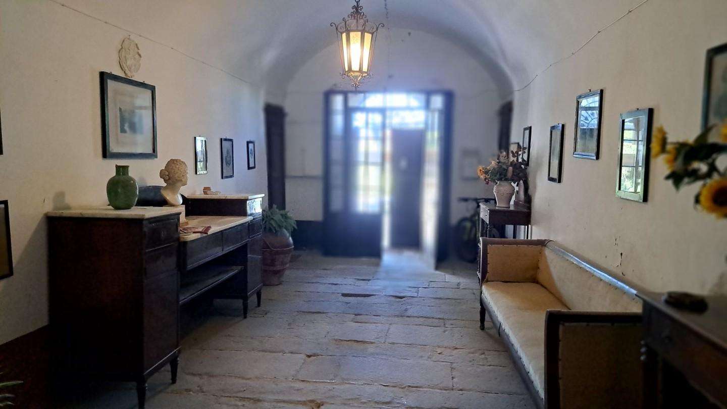  - foto 19