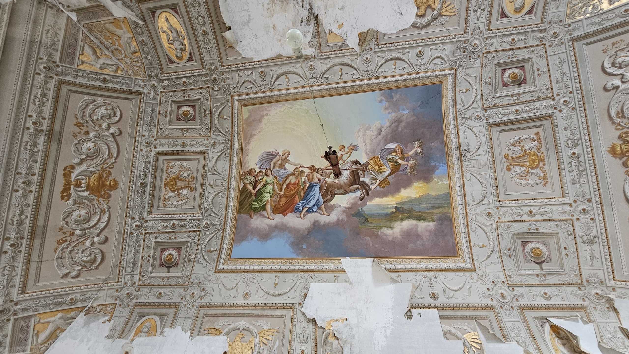 immagine annuncio 5 di 12