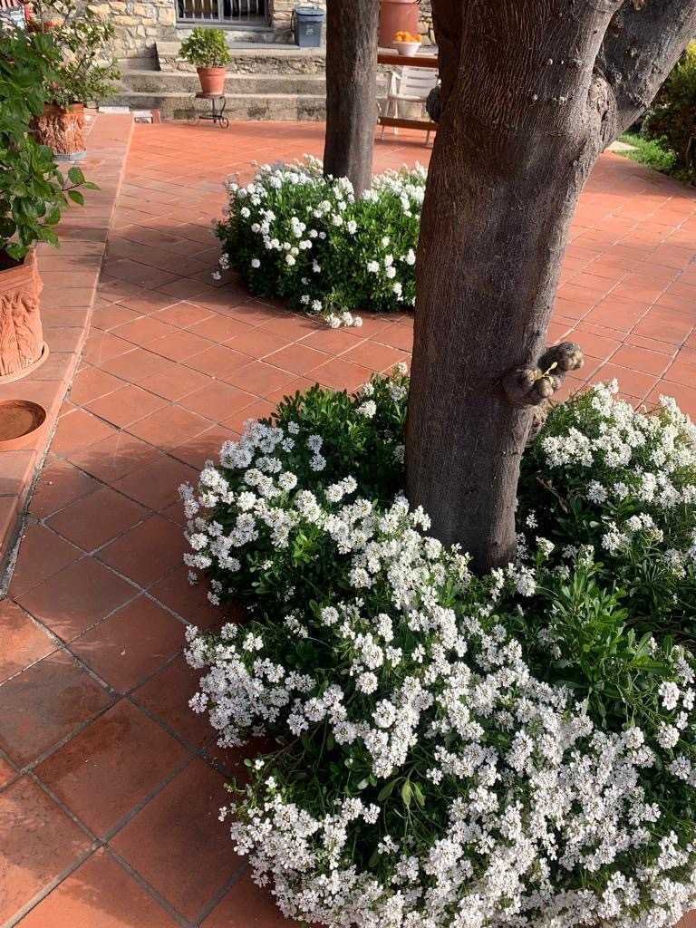  - foto 22