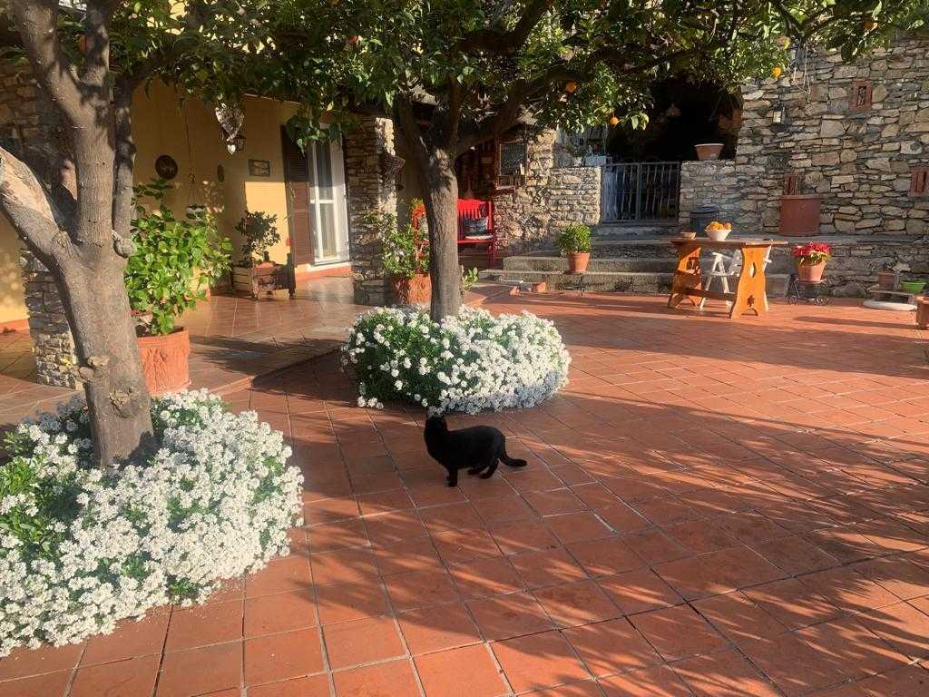  - foto 23