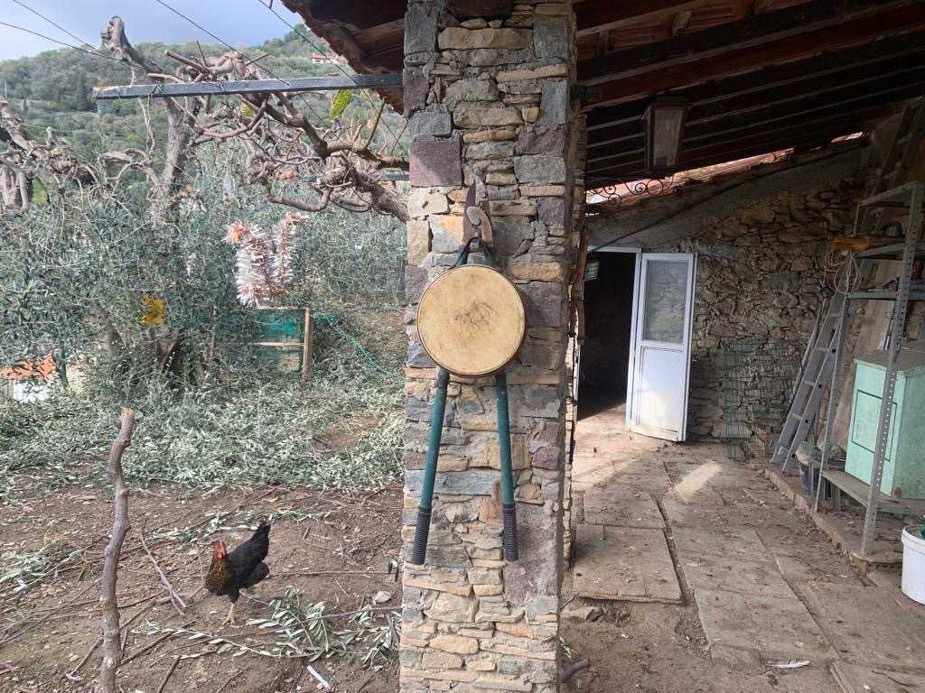  - foto 67