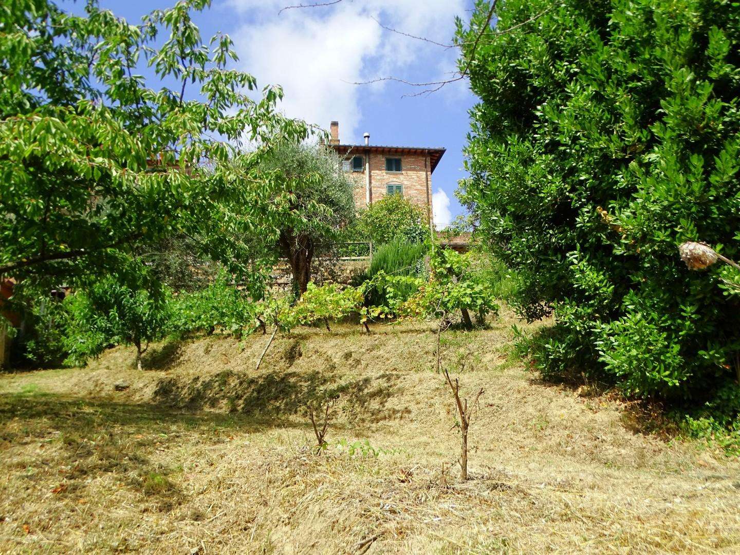  - foto 32
