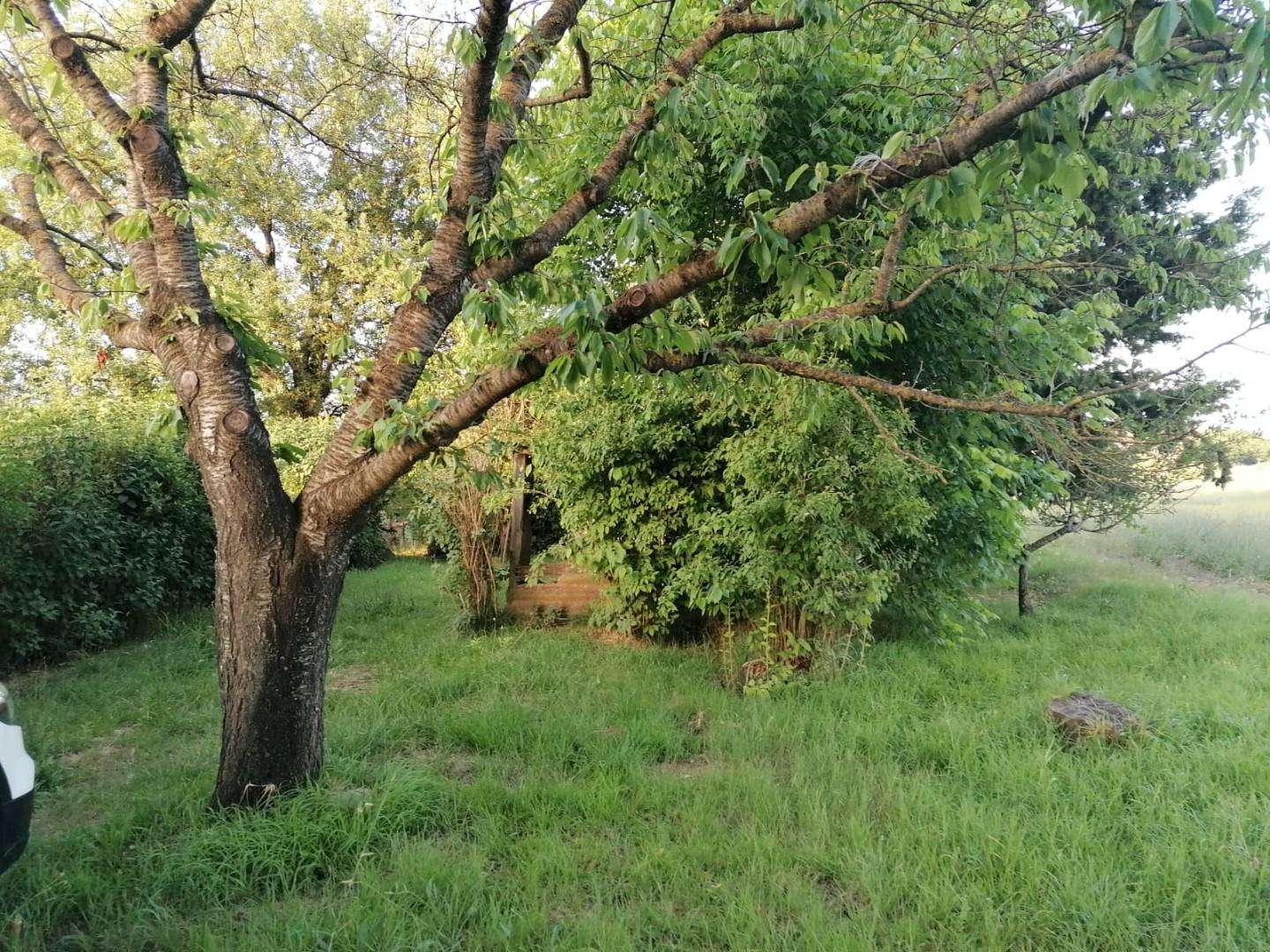 immagine annuncio 2 di 11