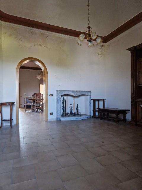  - foto 11