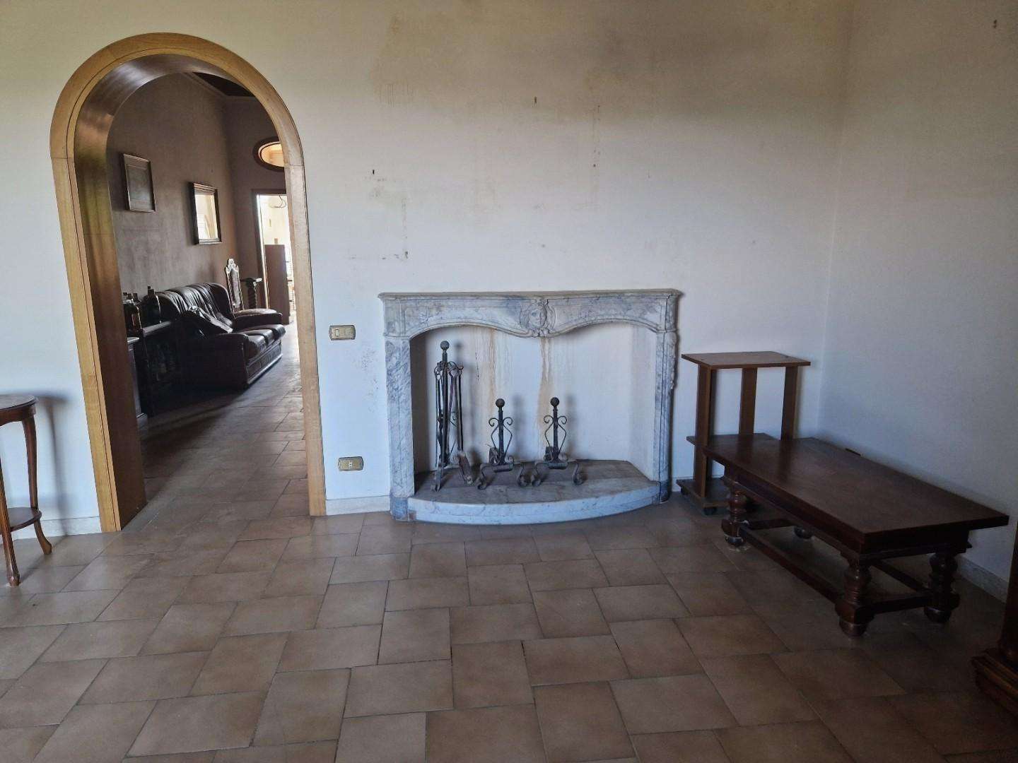  - foto 12