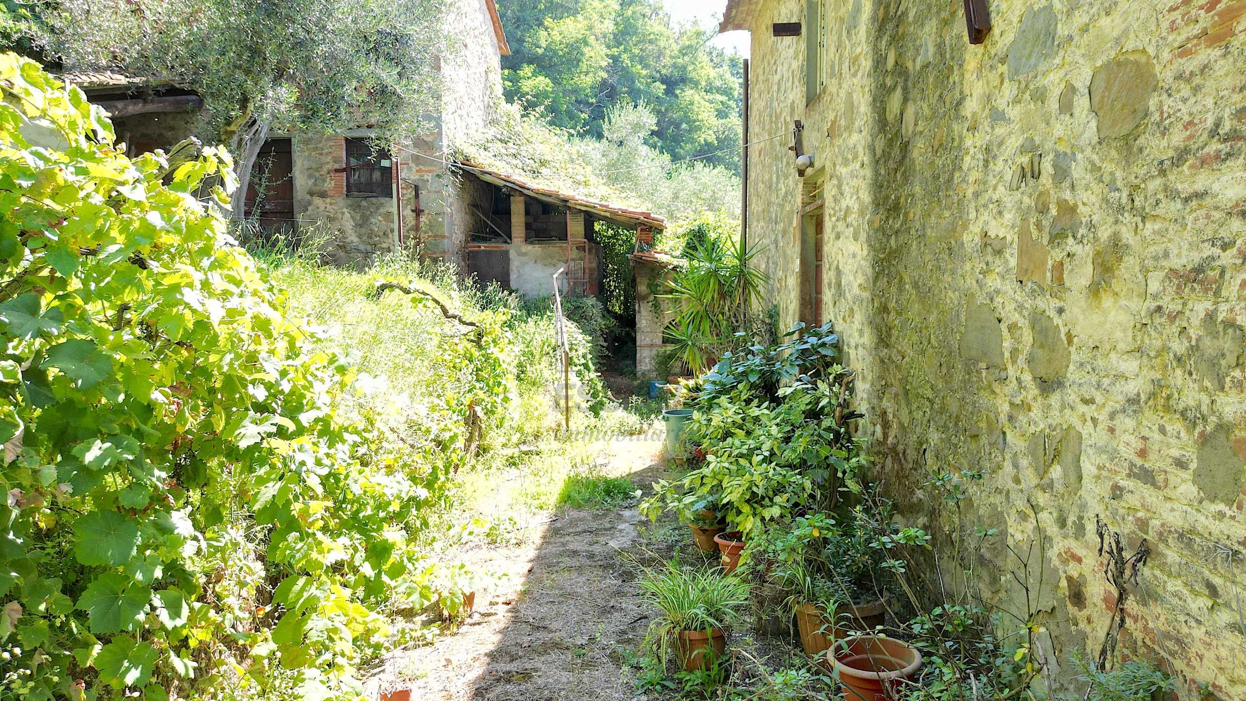  - foto 7