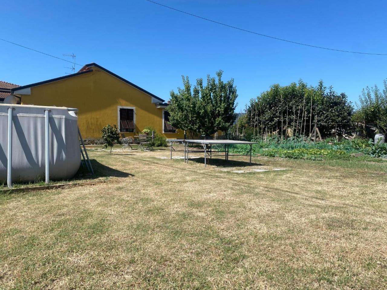 immagine annuncio 5 di 13