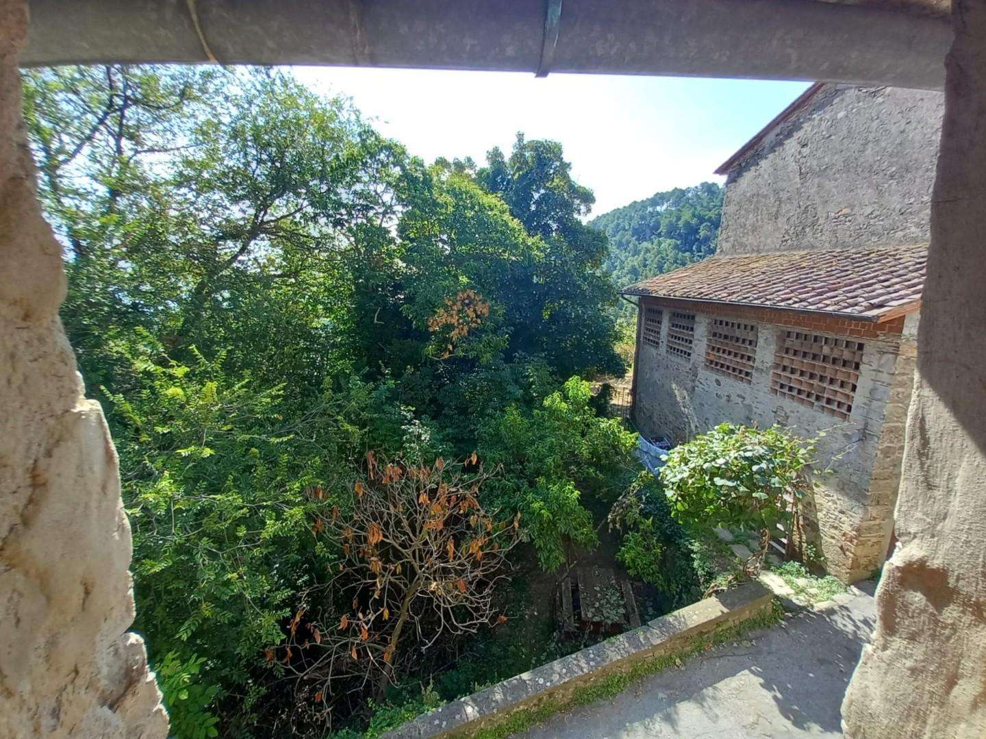  - foto 13