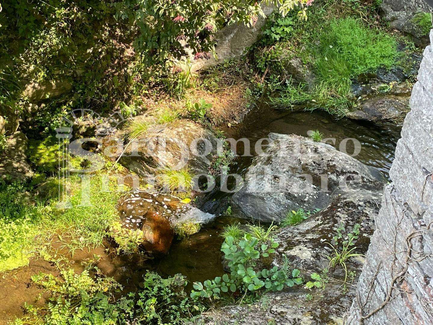  - foto 60