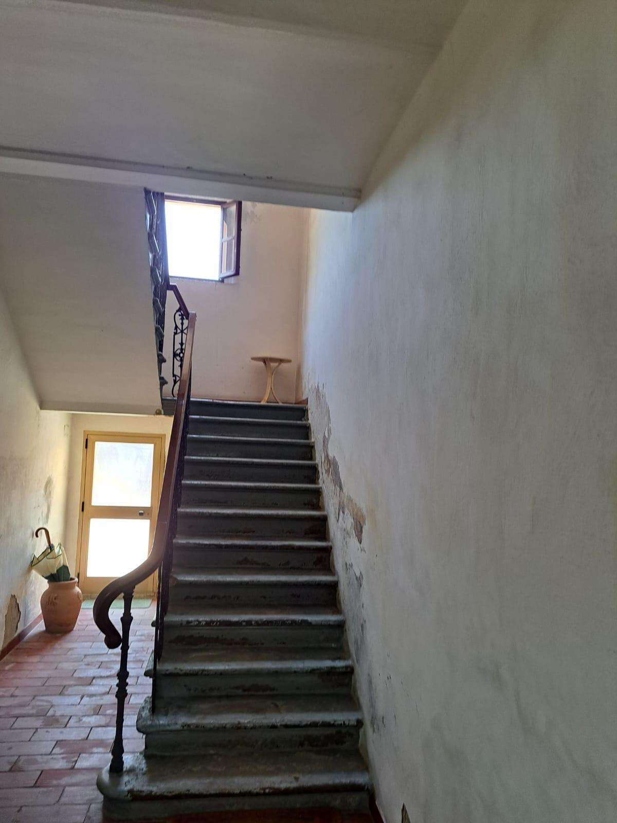  - foto 27