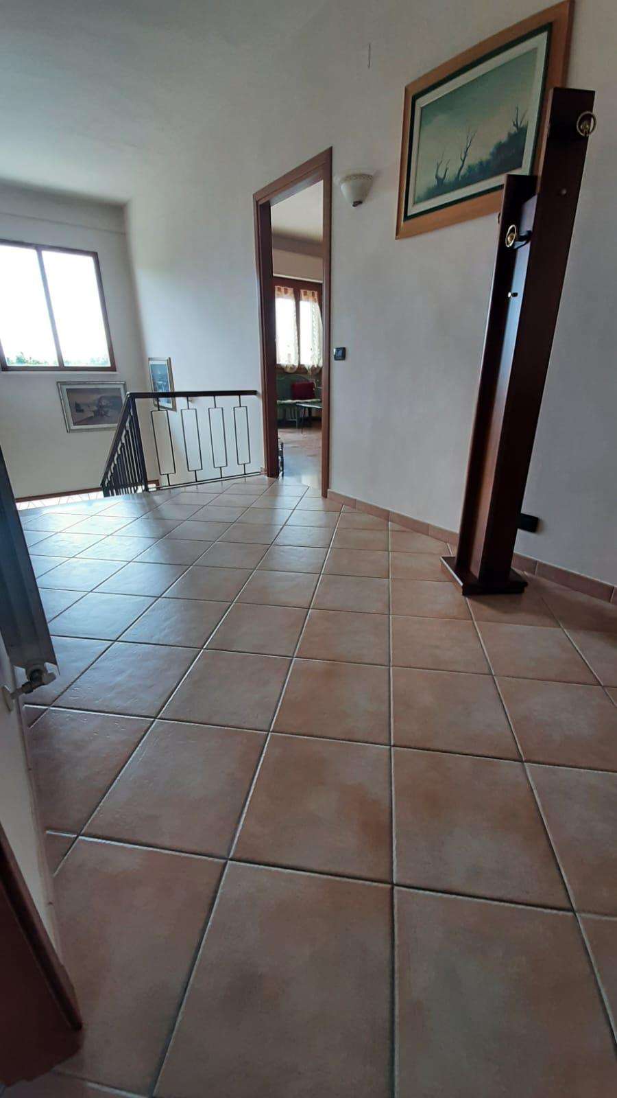  - foto 6
