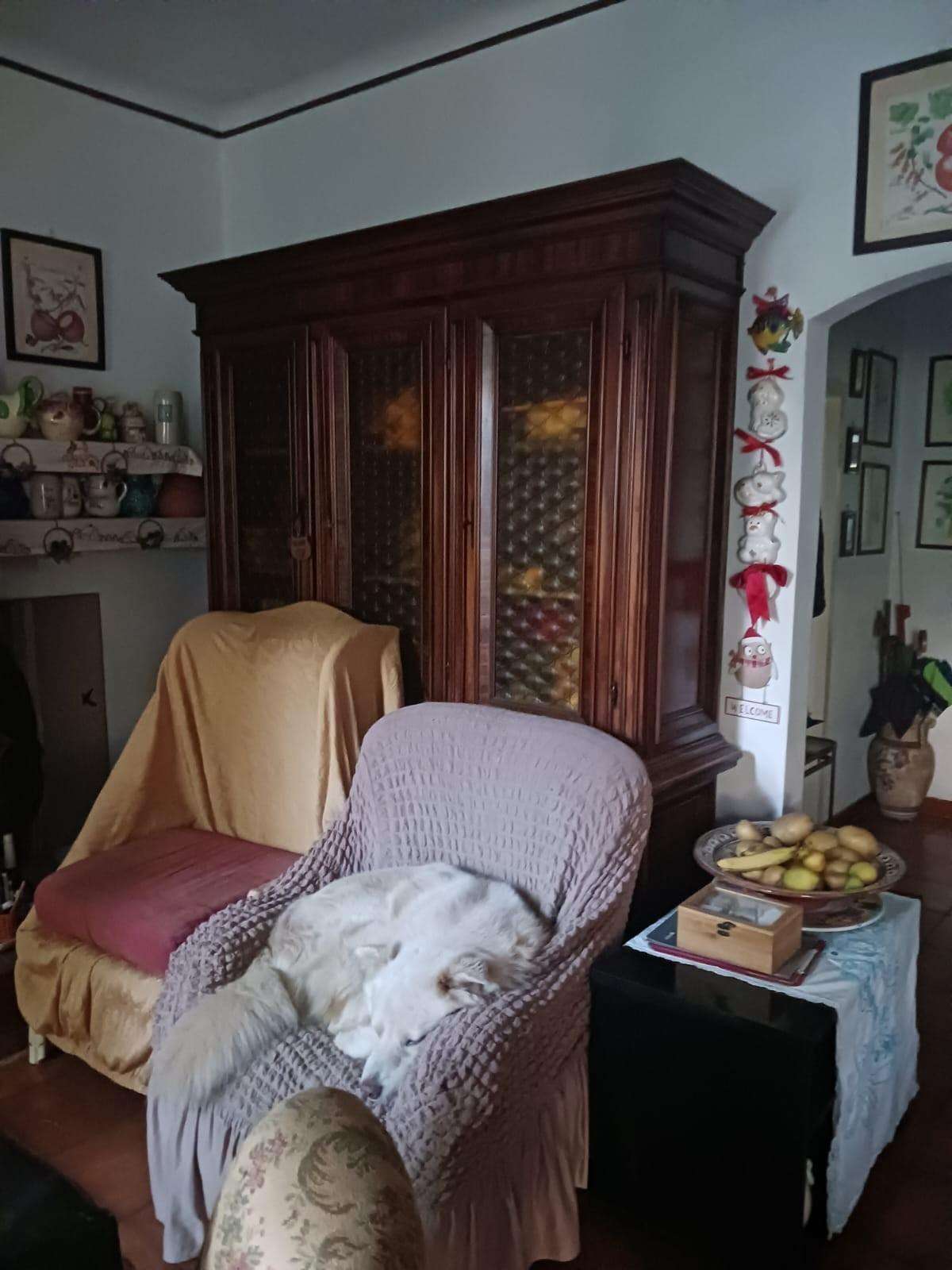  - foto 25