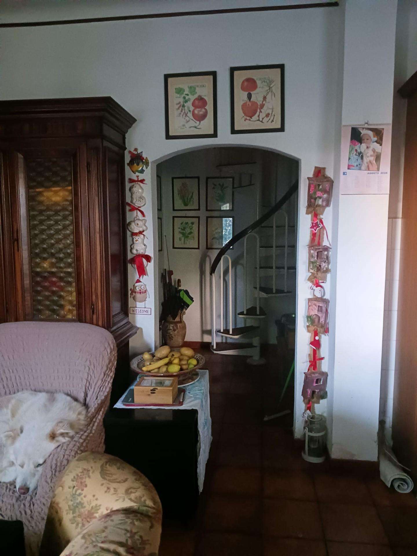  - foto 26
