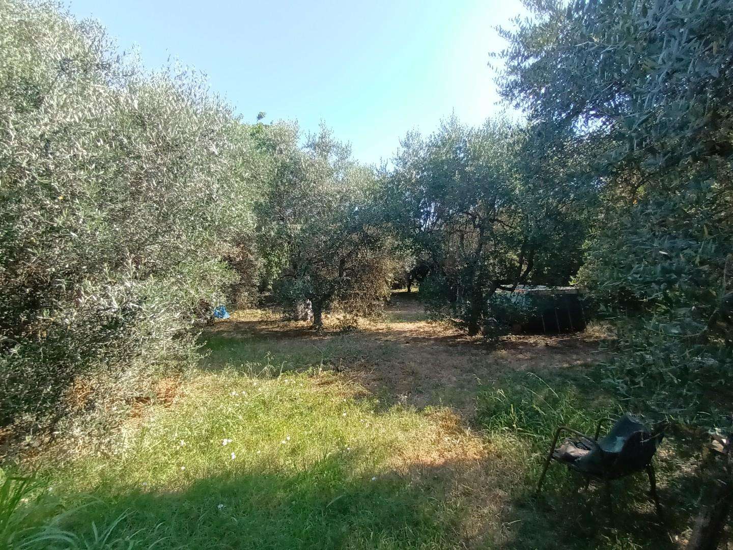  - foto 24