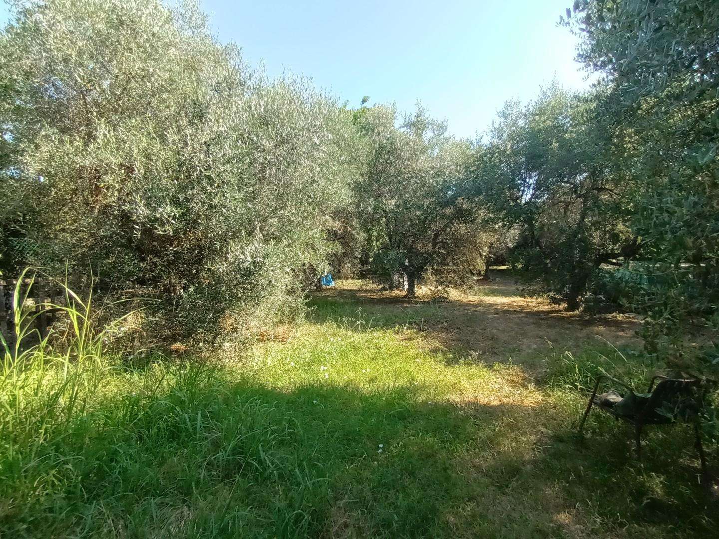  - foto 25
