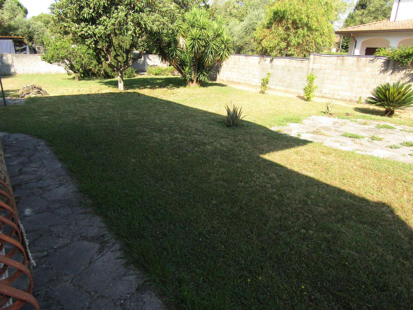  - foto 8