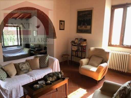 Azienda agricola VIA ROMA, Rignano sull'Arno