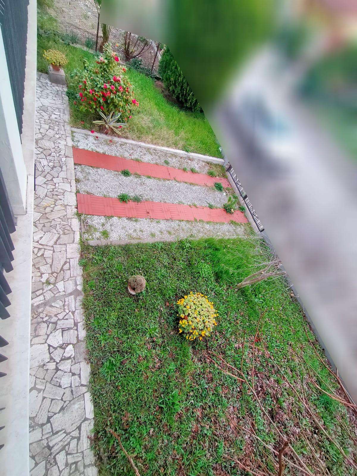  - foto 29