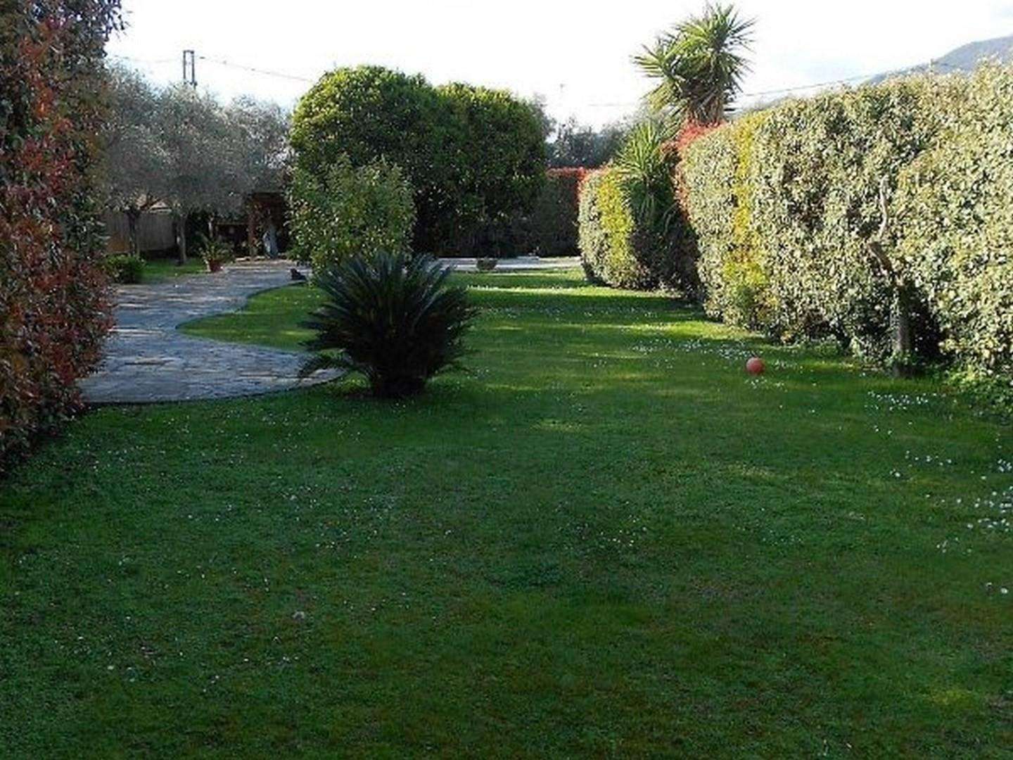  - foto 16