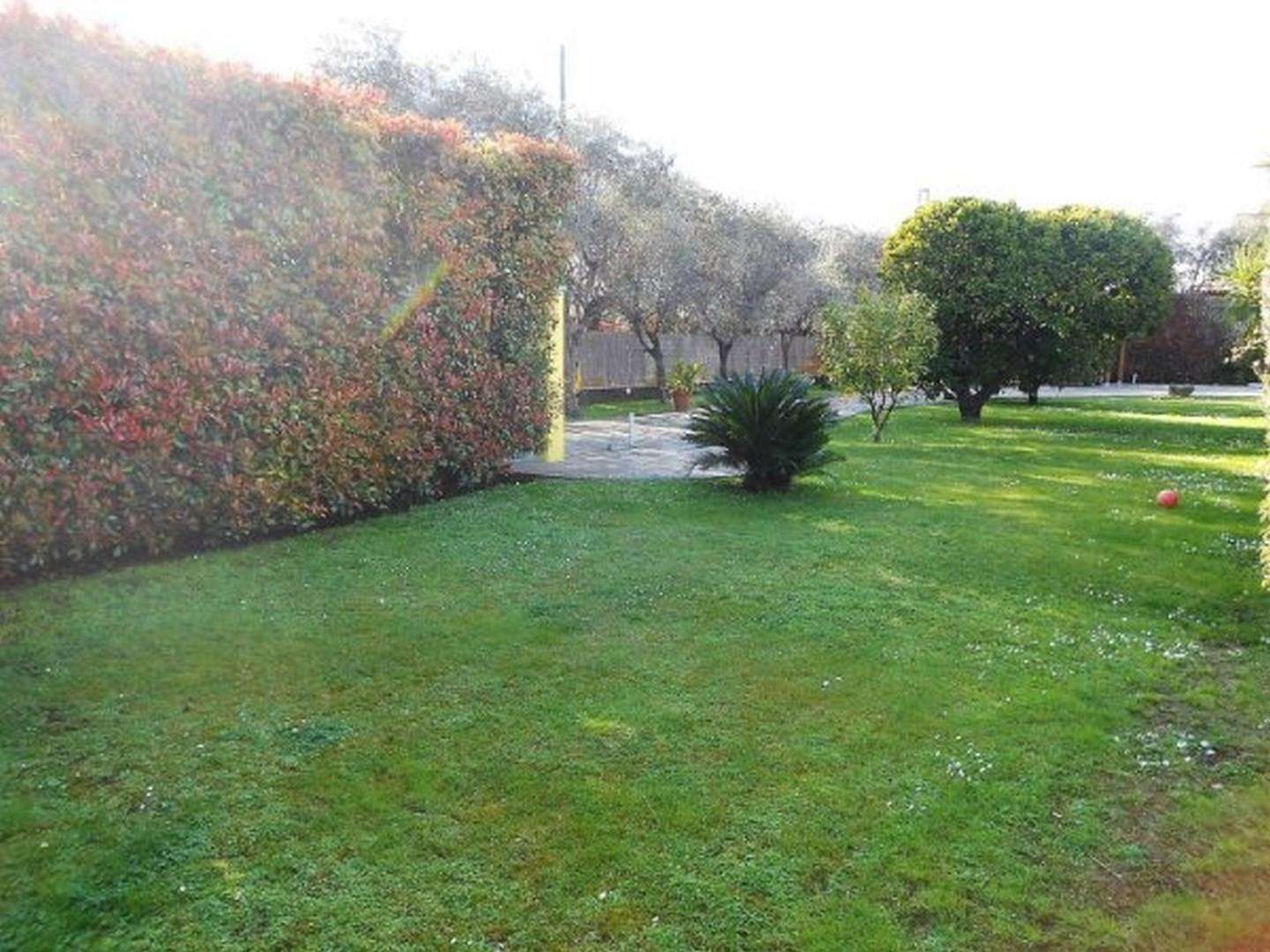  - foto 21