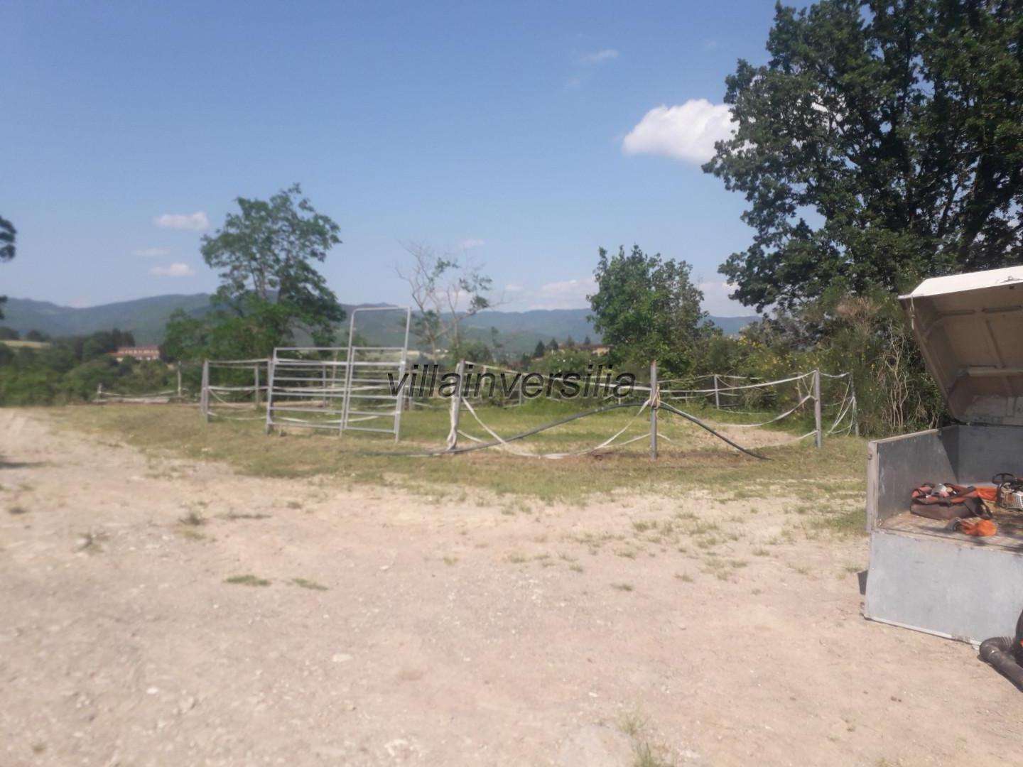  - foto 13
