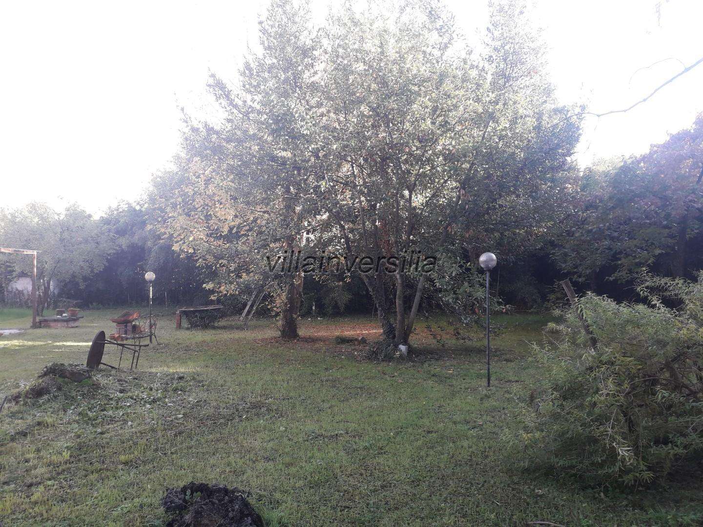  - foto 25