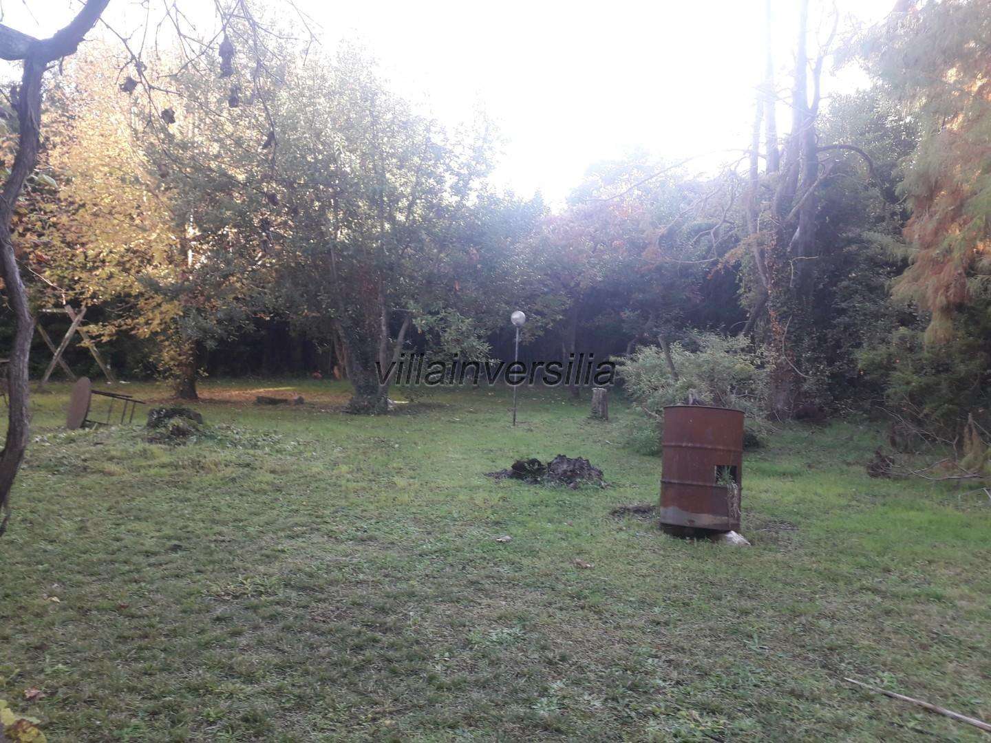  - foto 29