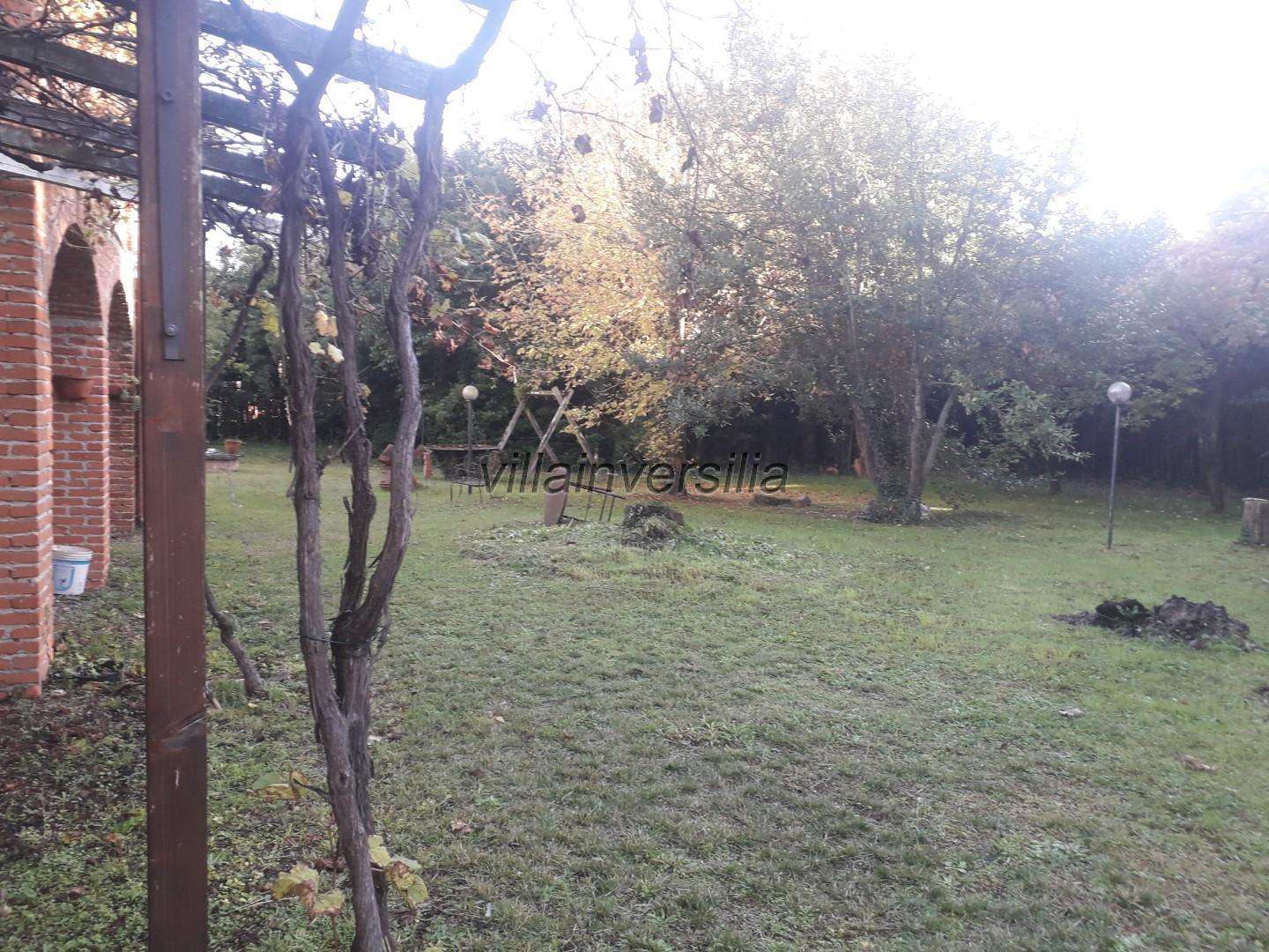  - foto 31