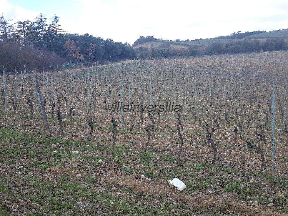 Casale Via Tonda,, Murlo
