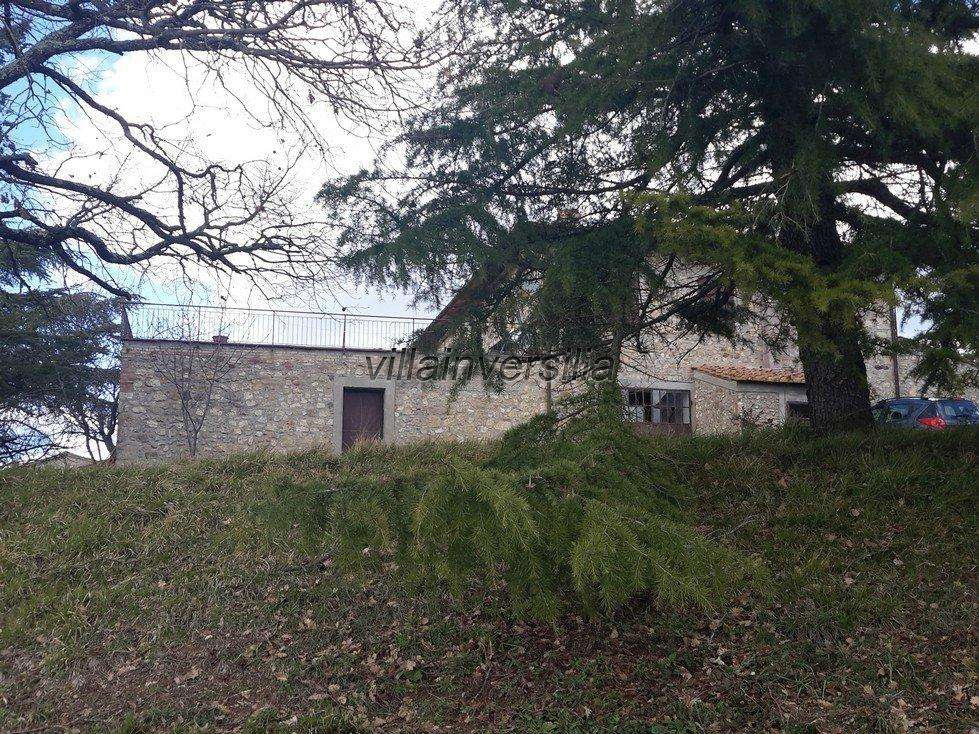  - foto 14