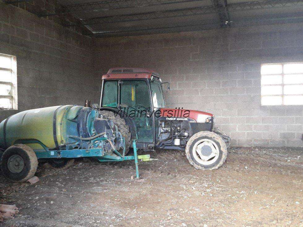  - foto 17