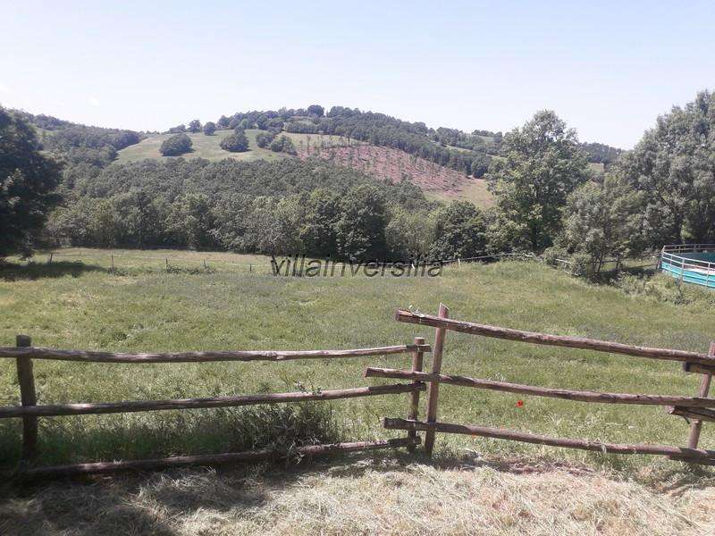 Terreno agricolo SS,, Roccalbegna