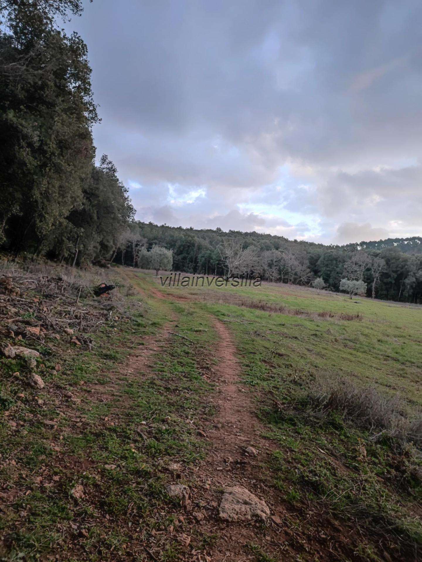  - foto 10