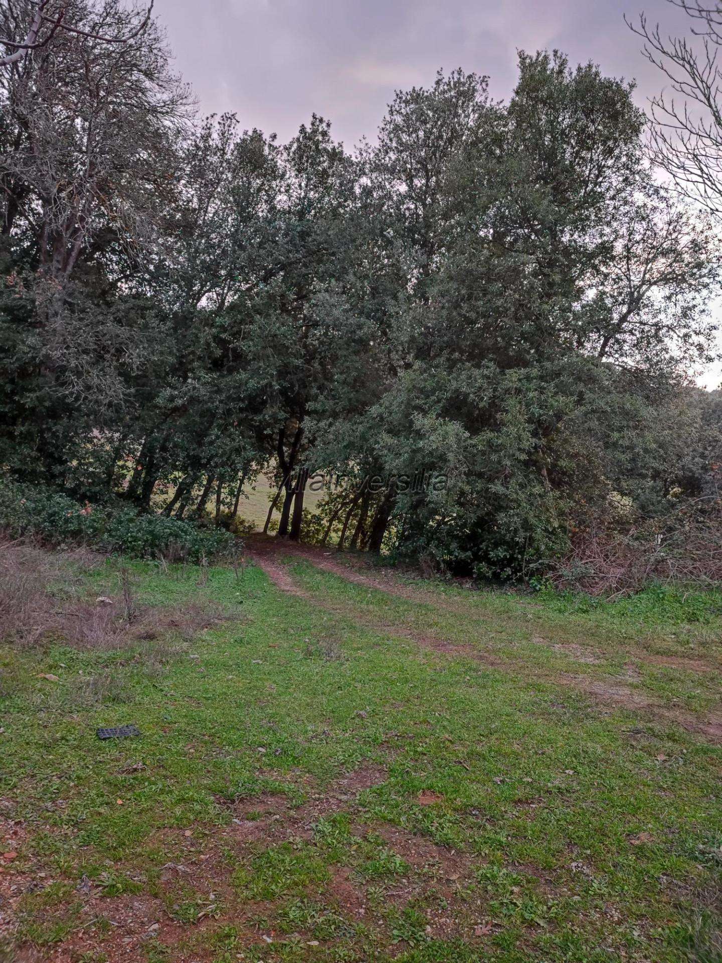  - foto 11