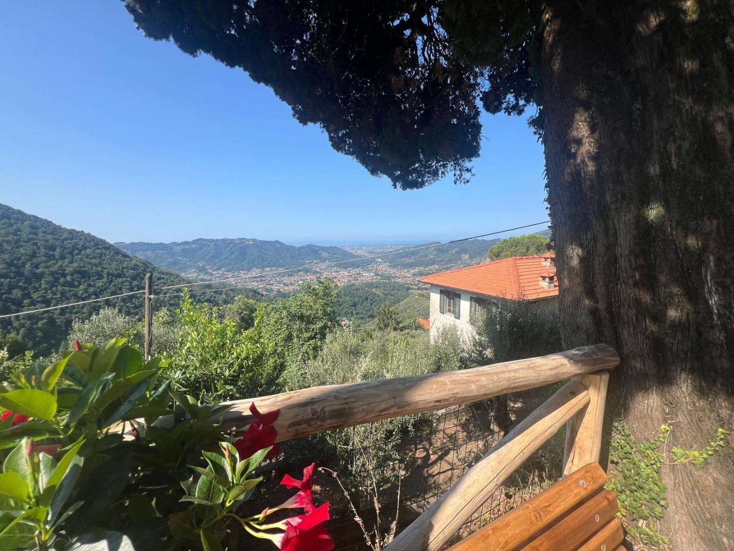  - foto 35